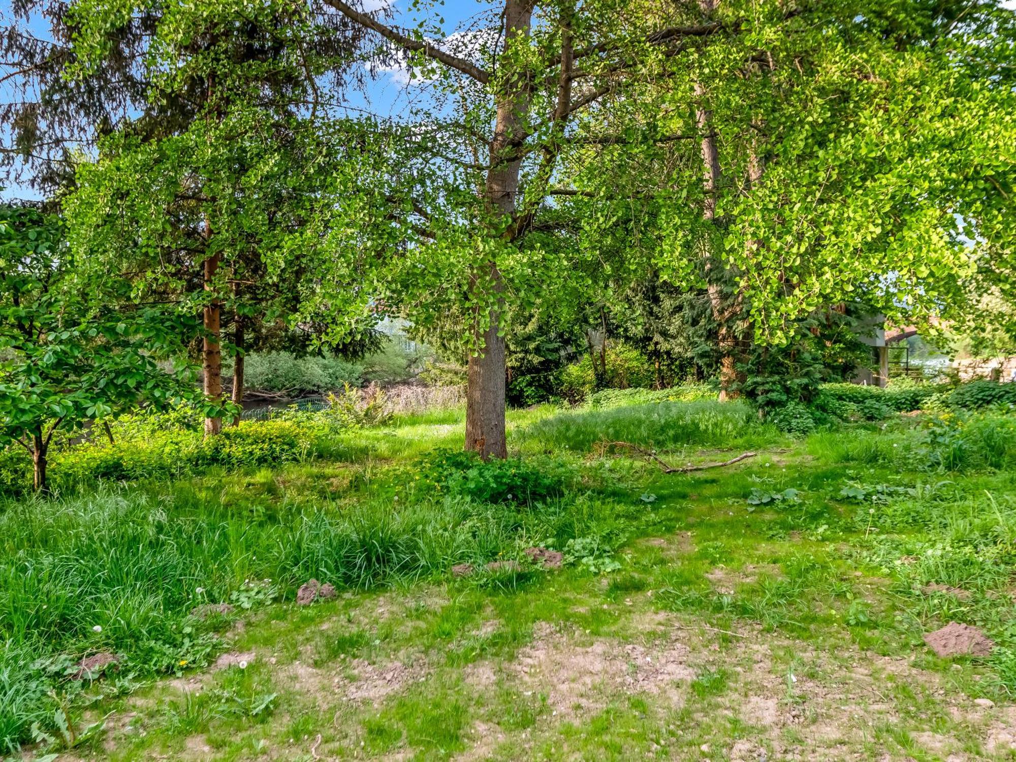 Altstadt Apartment Am Wasser Mit Parkplatz Und Riesigem Garten 바트크로이즈나흐 외부 사진