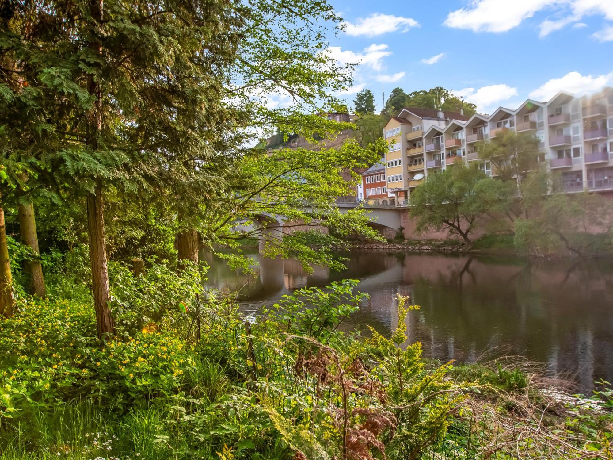 Altstadt Apartment Am Wasser Mit Parkplatz Und Riesigem Garten 바트크로이즈나흐 외부 사진